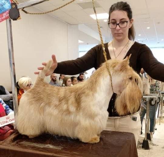 Championnat de France 2021