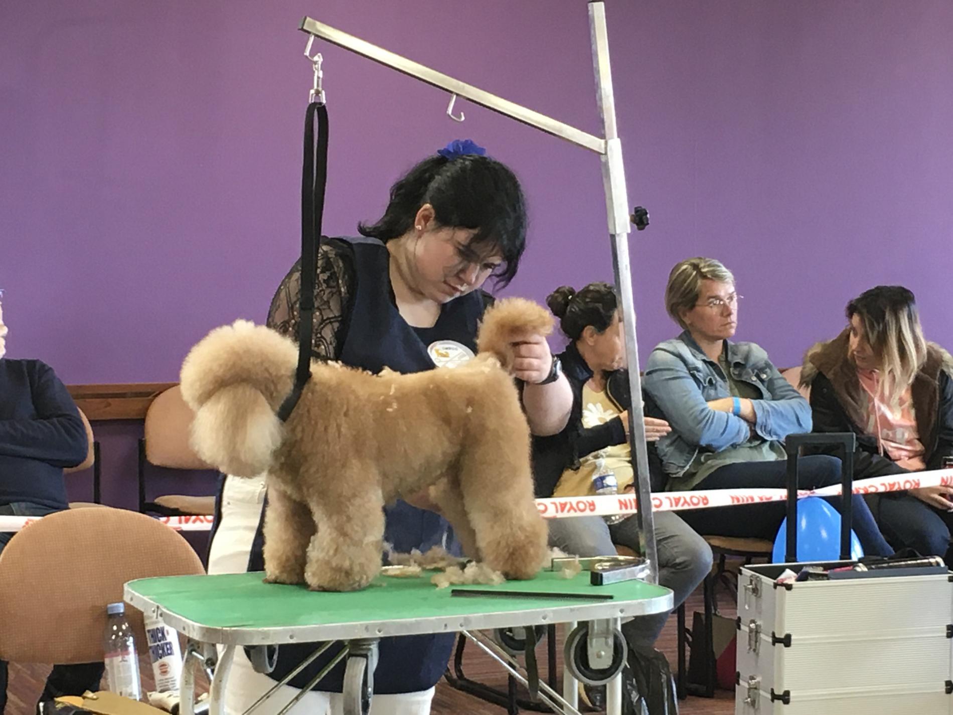 Championnat de France 2021